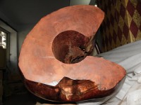 /album/%e7%b4%ab%e6%aa%80/a1385089699-2018349186-jpg/